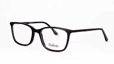 
Gulliver 8110 c1

