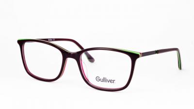 
Gulliver 8110 c3

